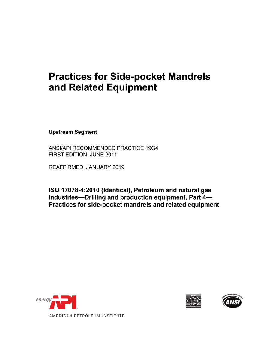 _API_RP_19G4-2011_2019.pdf_第3页