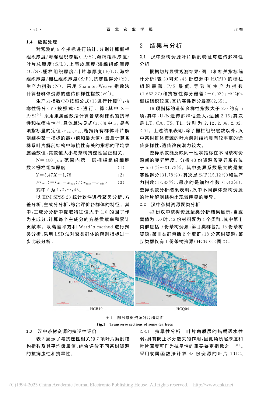 43份汉中茶树种质资源叶片解剖结构分析_李佼.pdf_第3页