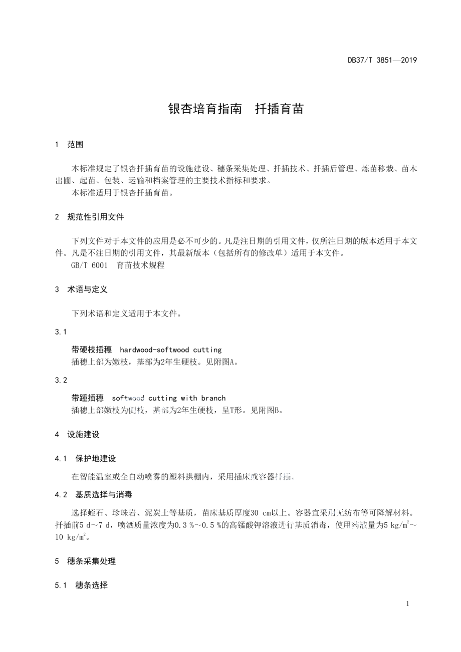 DB37T 3851—2019银杏培育指南　扦插育苗.pdf_第3页