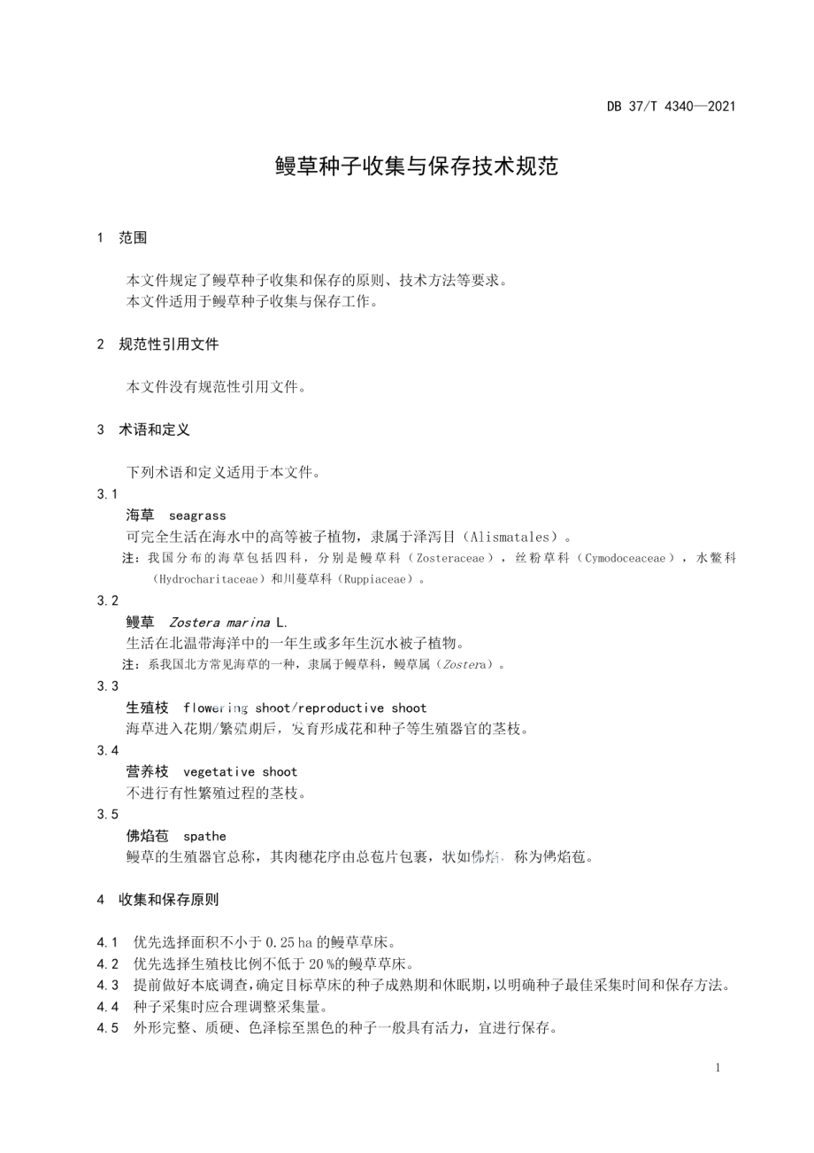 DB37T 4340—2021鳗草种子收集与保存技术规范.pdf_第3页