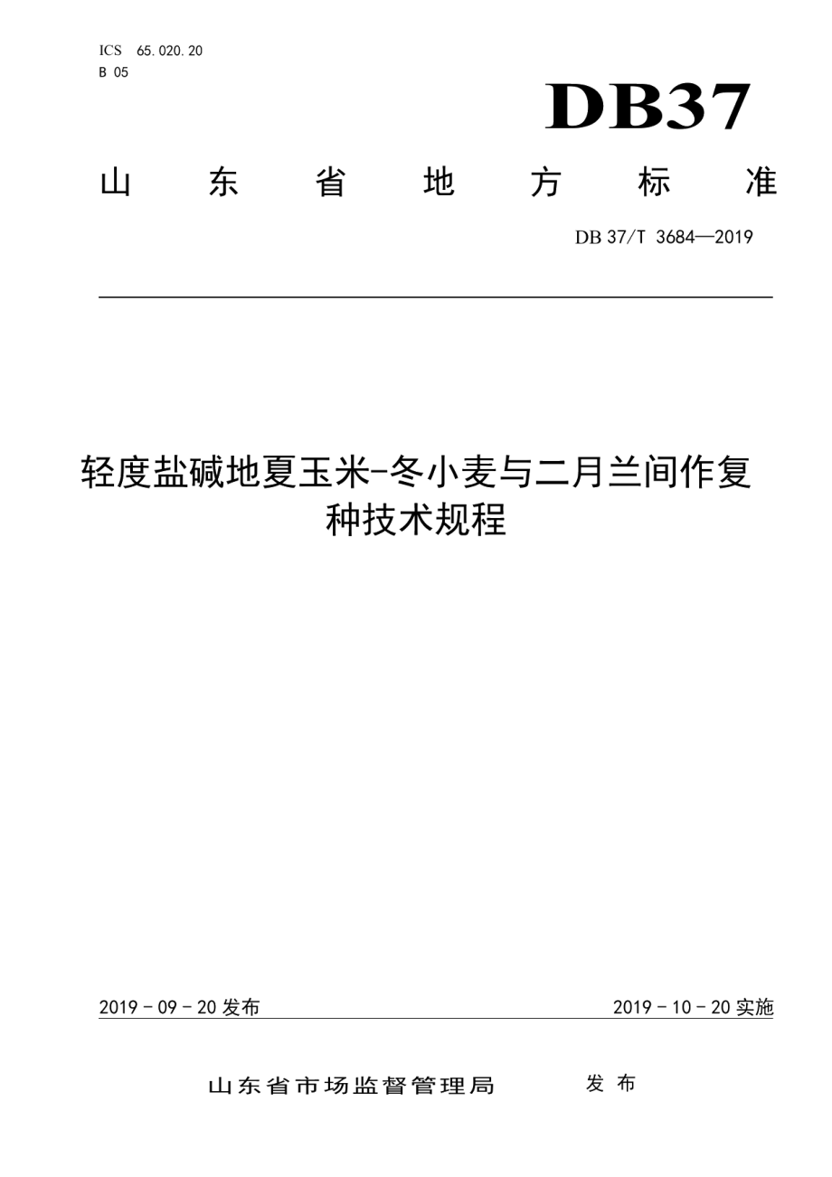 DB37T 3684-2019轻度盐碱地夏玉米-冬小麦与二月兰间作复种技术规程.pdf_第1页