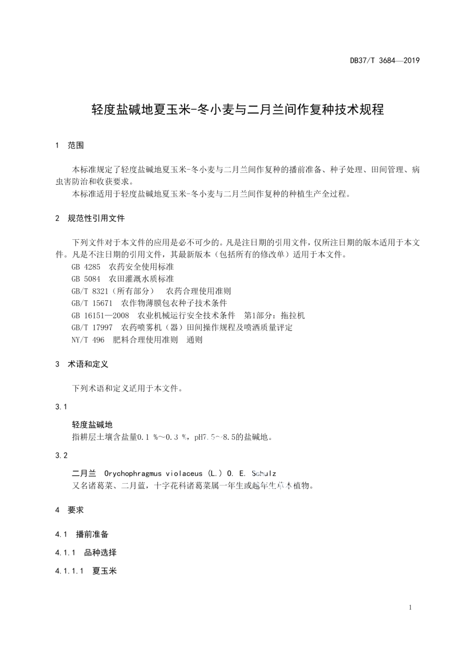 DB37T 3684-2019轻度盐碱地夏玉米-冬小麦与二月兰间作复种技术规程.pdf_第3页