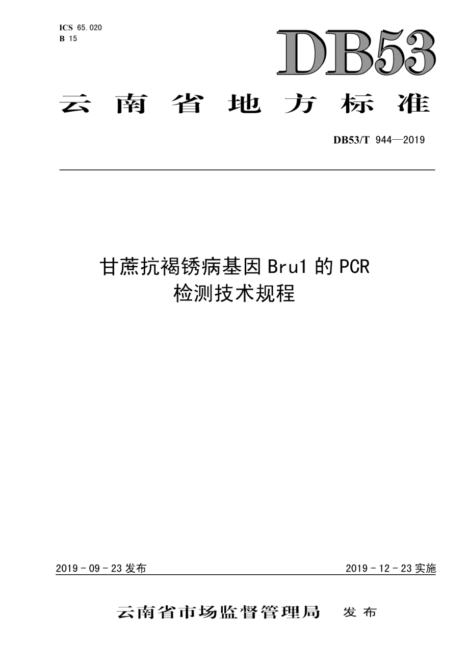 DB53T 944-2019甘蔗抗褐锈病基因Bru1的PCR检测技术规程.pdf_第1页