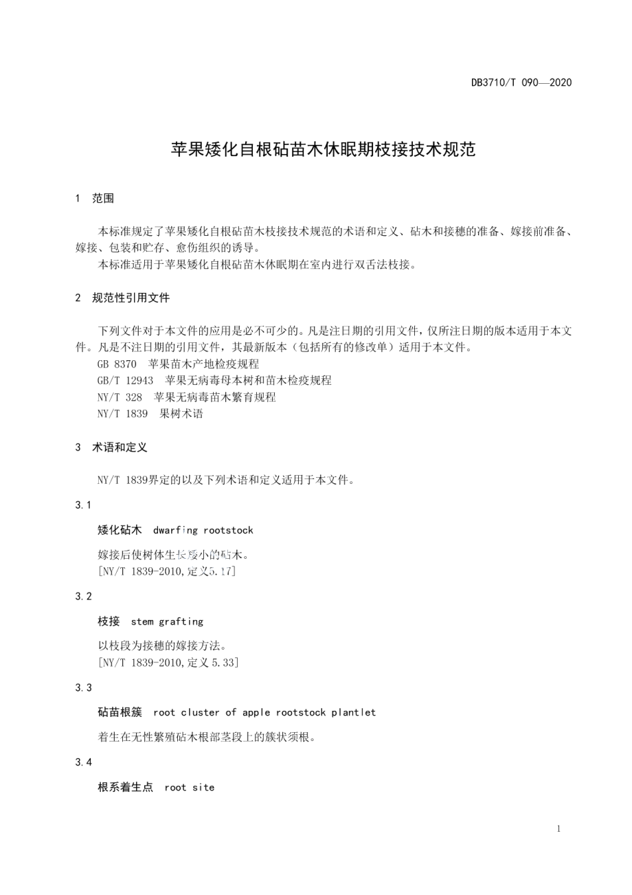 DB3710T 090-2020苹果矮化自根砧苗木休眠期枝接技术规范.pdf_第3页