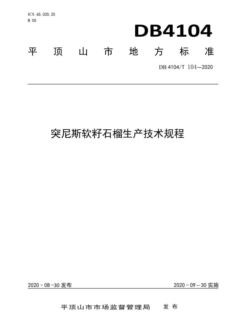 DB4104T 104-2020突尼斯软籽石榴生产技术规程.pdf_第1页