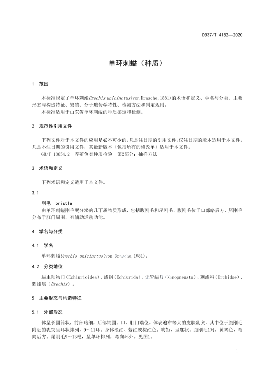 DB37T 4182—2020单环刺螠（种质）.pdf_第3页