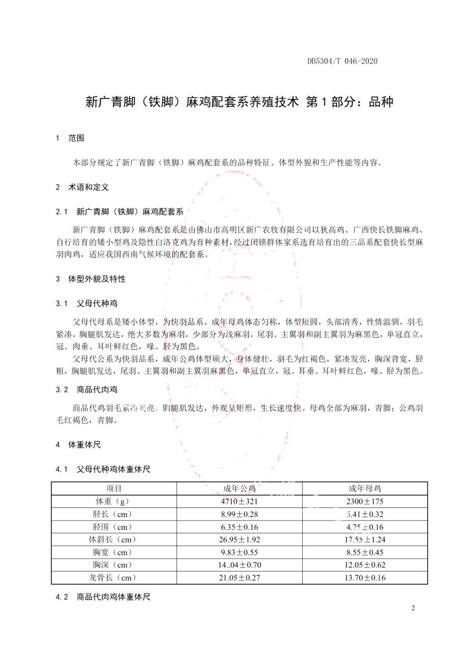 DB5304T 046新广青脚（铁脚）麻鸡配套系养殖技术.pdf_第3页