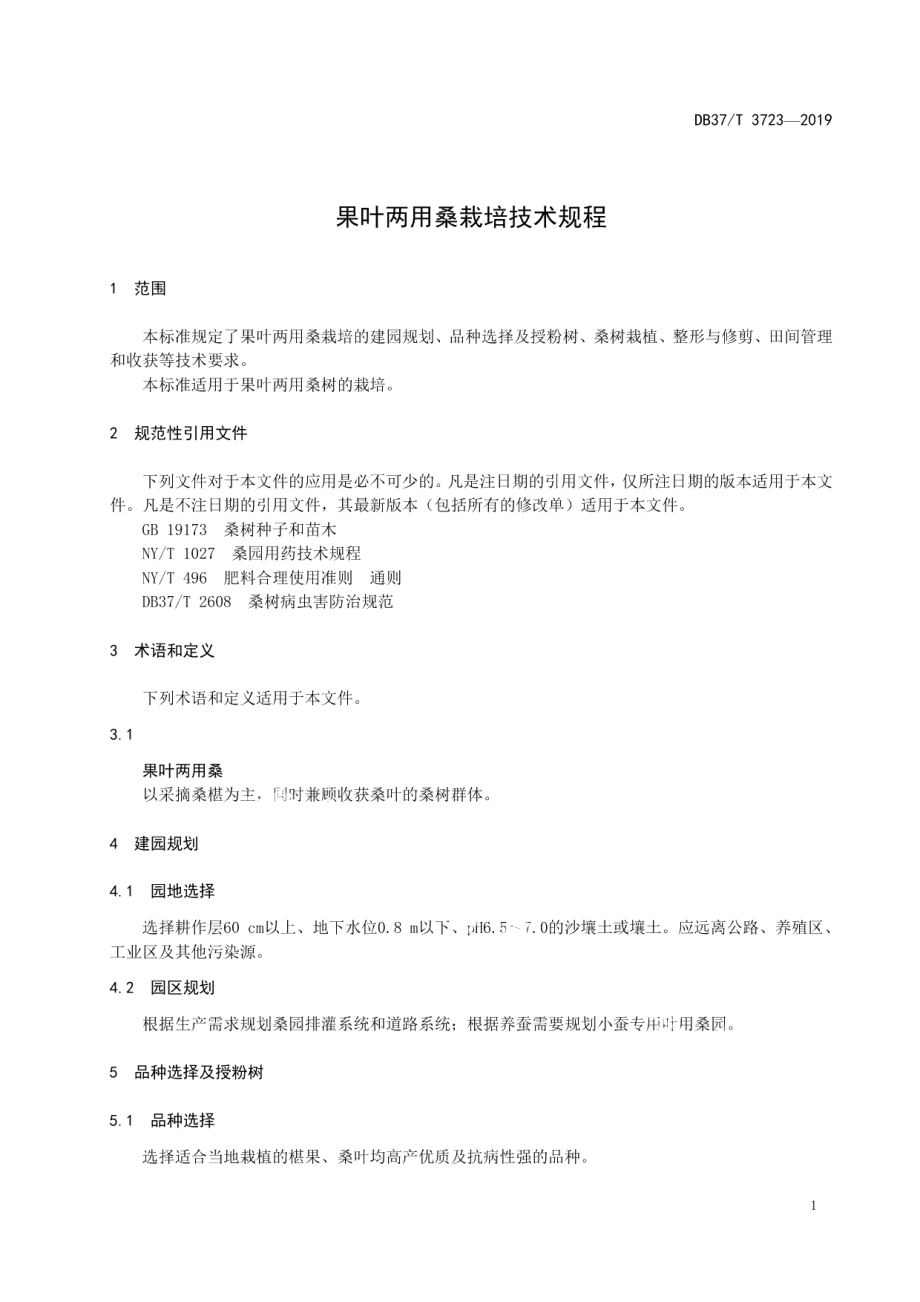 DB37T 3723-2019果叶两用桑栽培技术规程.pdf_第3页