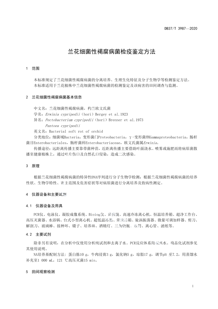 DB37T 3987—2020兰花细菌性褐腐病菌检疫鉴定方法.pdf_第3页