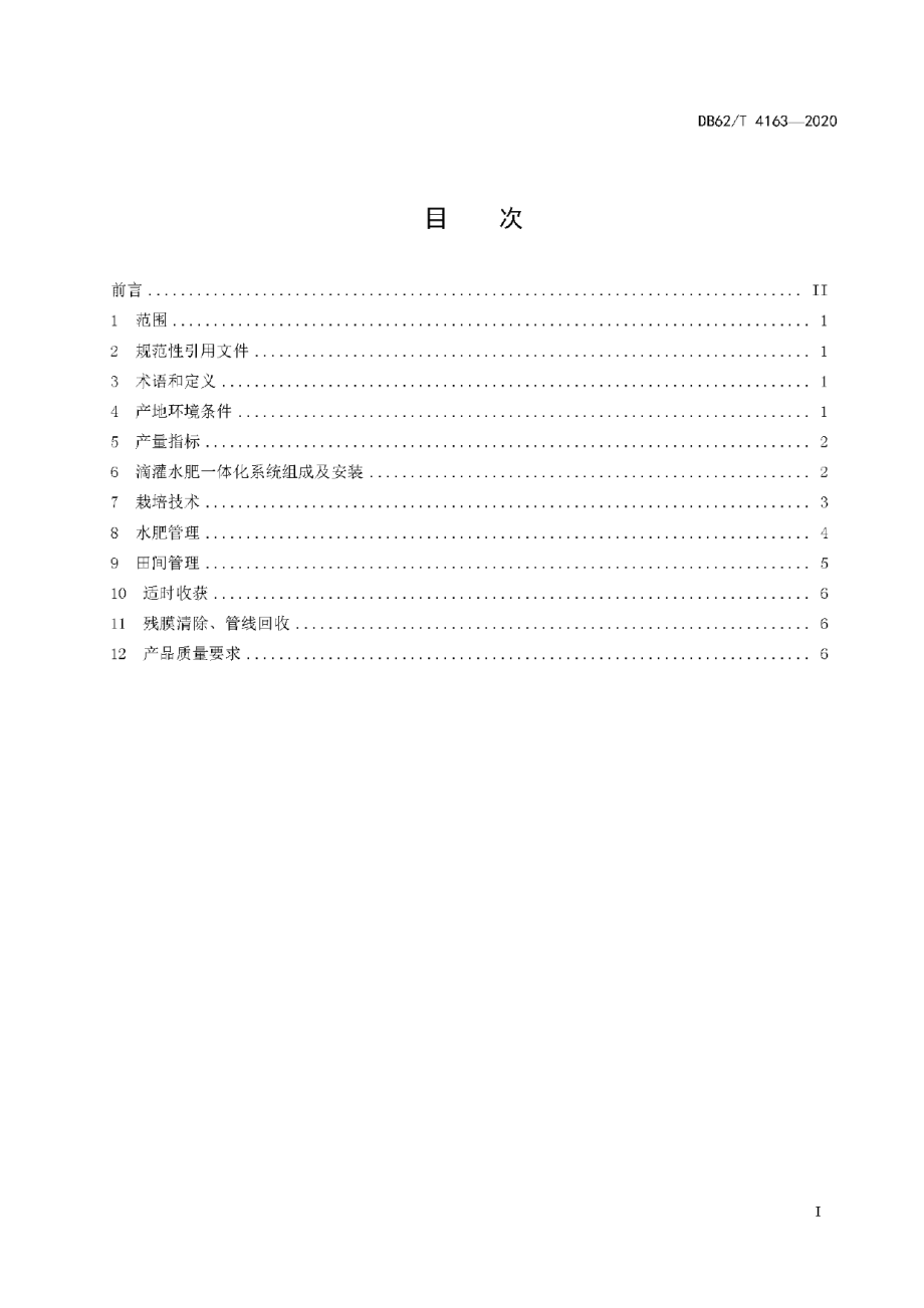 DB62T 4163-2020制种玉米免冬灌水肥一体化栽培技术规程.pdf_第3页