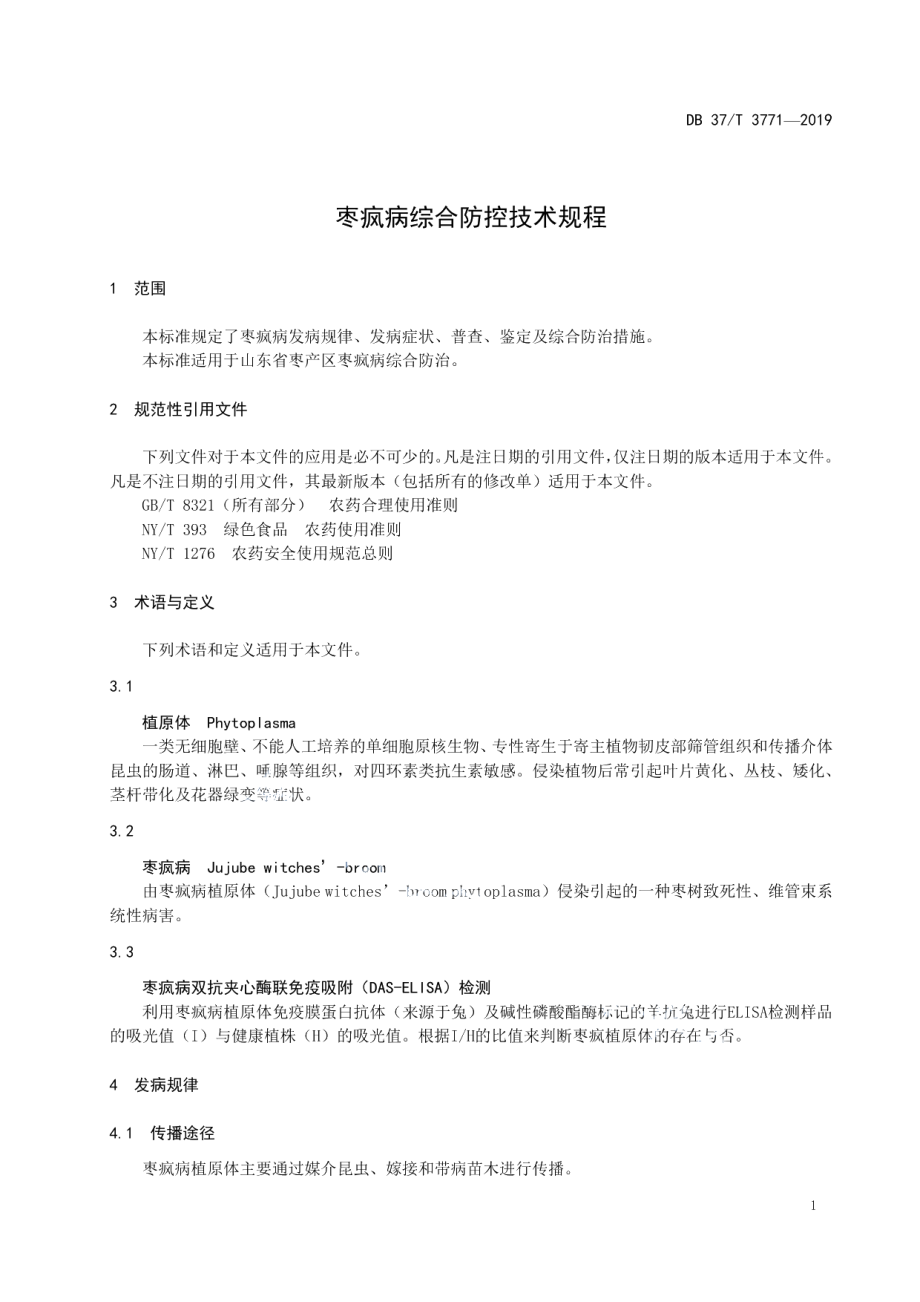 DB37T 3771-2019枣疯病综合防控技术规程.pdf_第3页