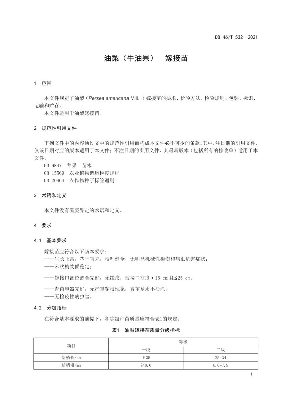 DB46T 532-2021油梨（牛油果）嫁接苗.pdf_第3页