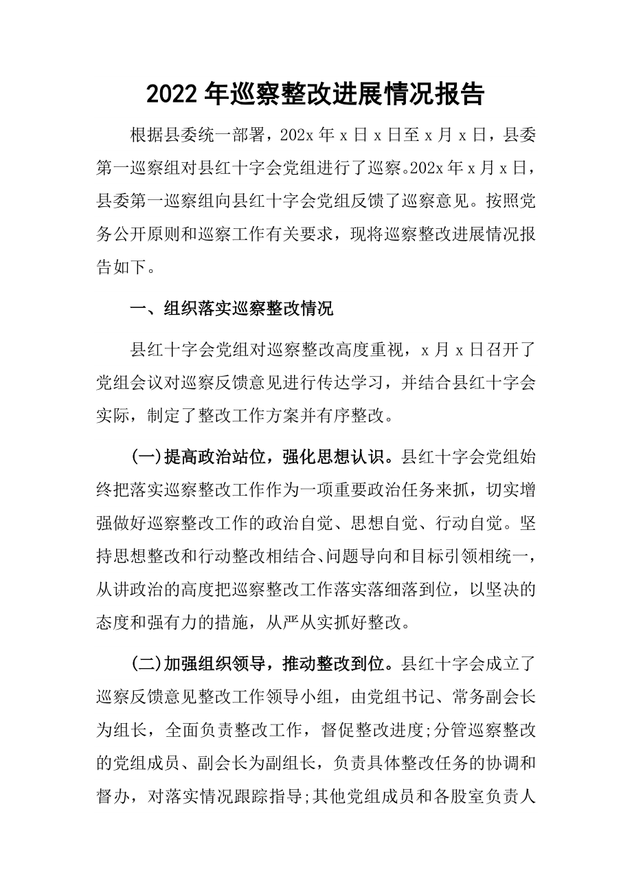 2022年巡察整改进展情况报告 .docx_第1页