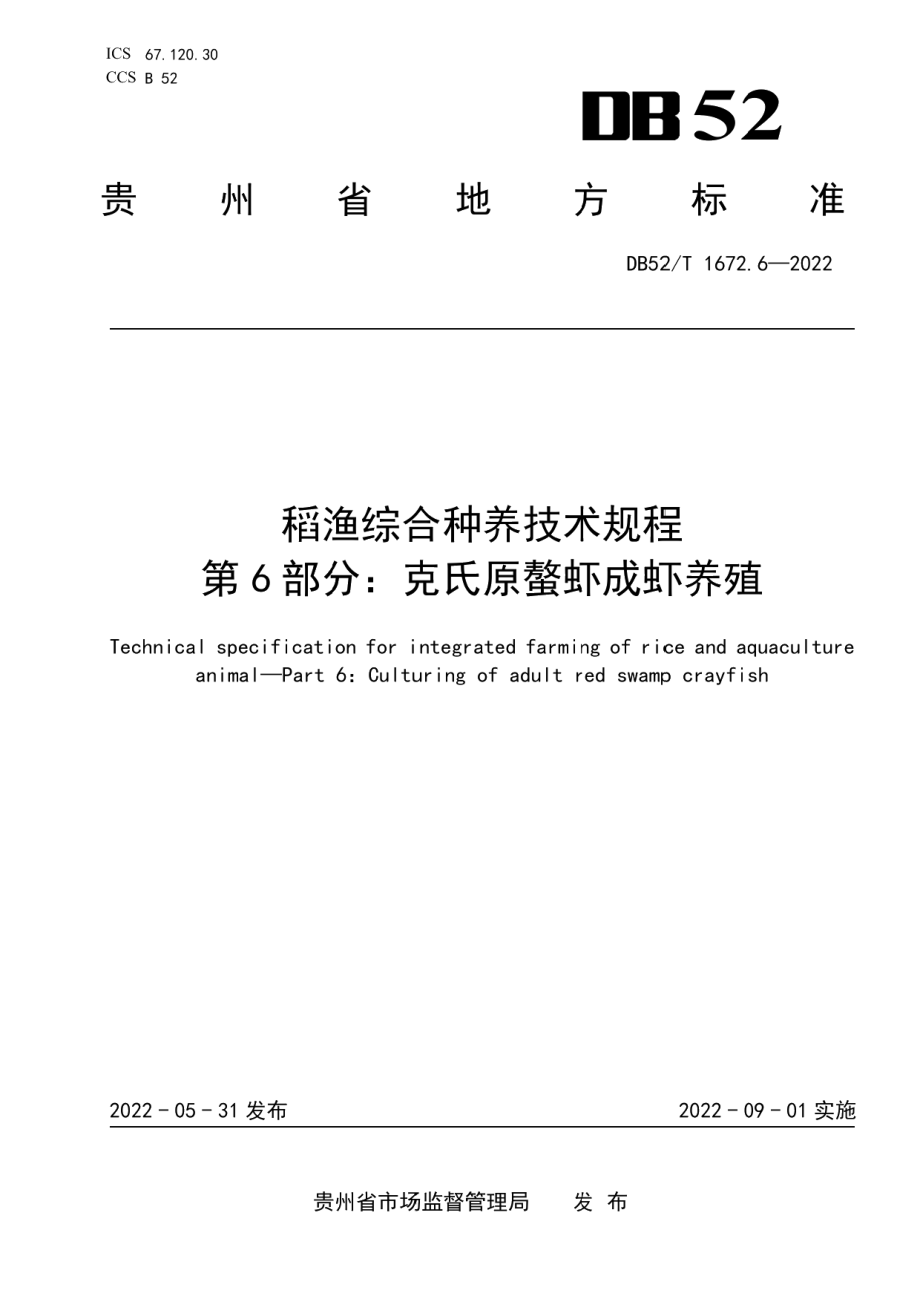 DB52T 1672.6-2022稻渔综合种养技术规程 第6部分：克氏原螯虾成虾养殖.pdf_第1页