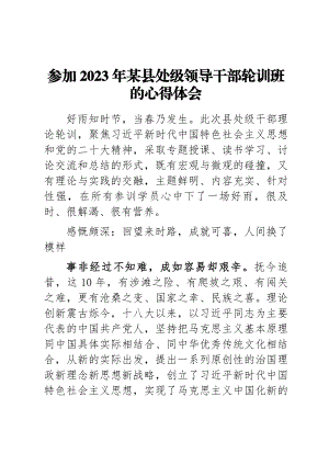 参加2023年某县处级领导干部轮训班的心得体会 .docx