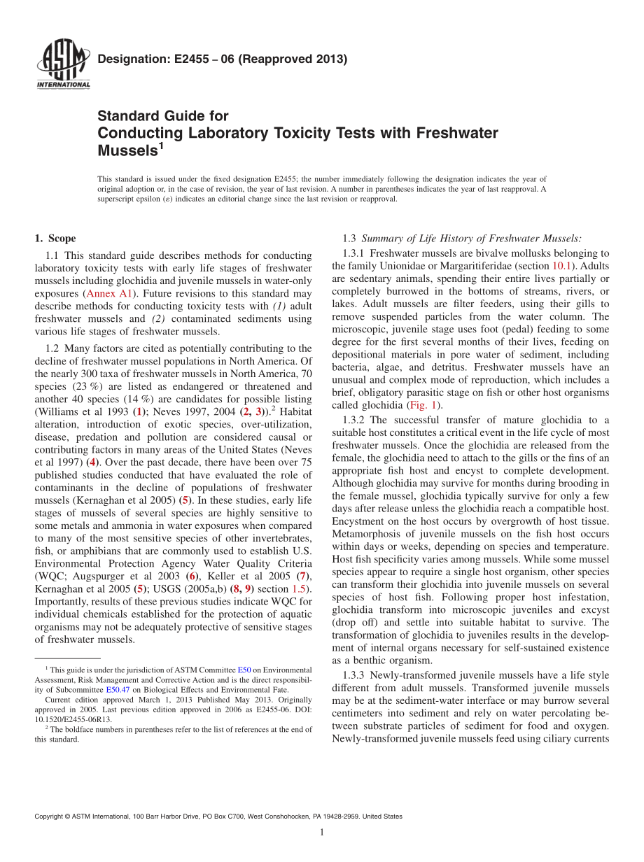 ASTM_E_2455_-_06_2013.pdf_第1页