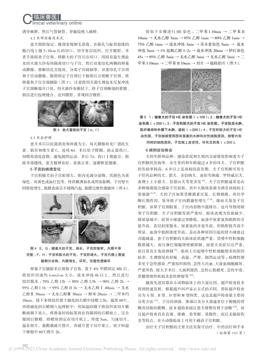 10例犬子宫积脓的诊治体会_聂青青.pdf_第2页