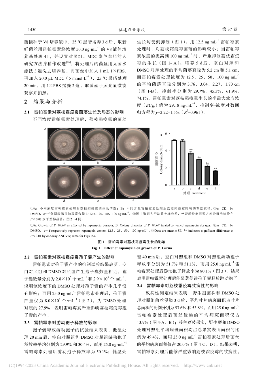 TOR抑制剂雷帕霉素对荔枝霜疫霉生长发育及自噬的影响_吕林.pdf_第3页