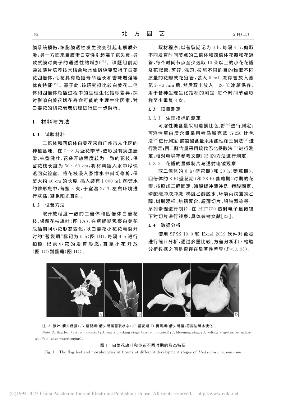 白姜花生理生化和细胞结构变化与花衰老的相关分析_肖望.pdf_第2页