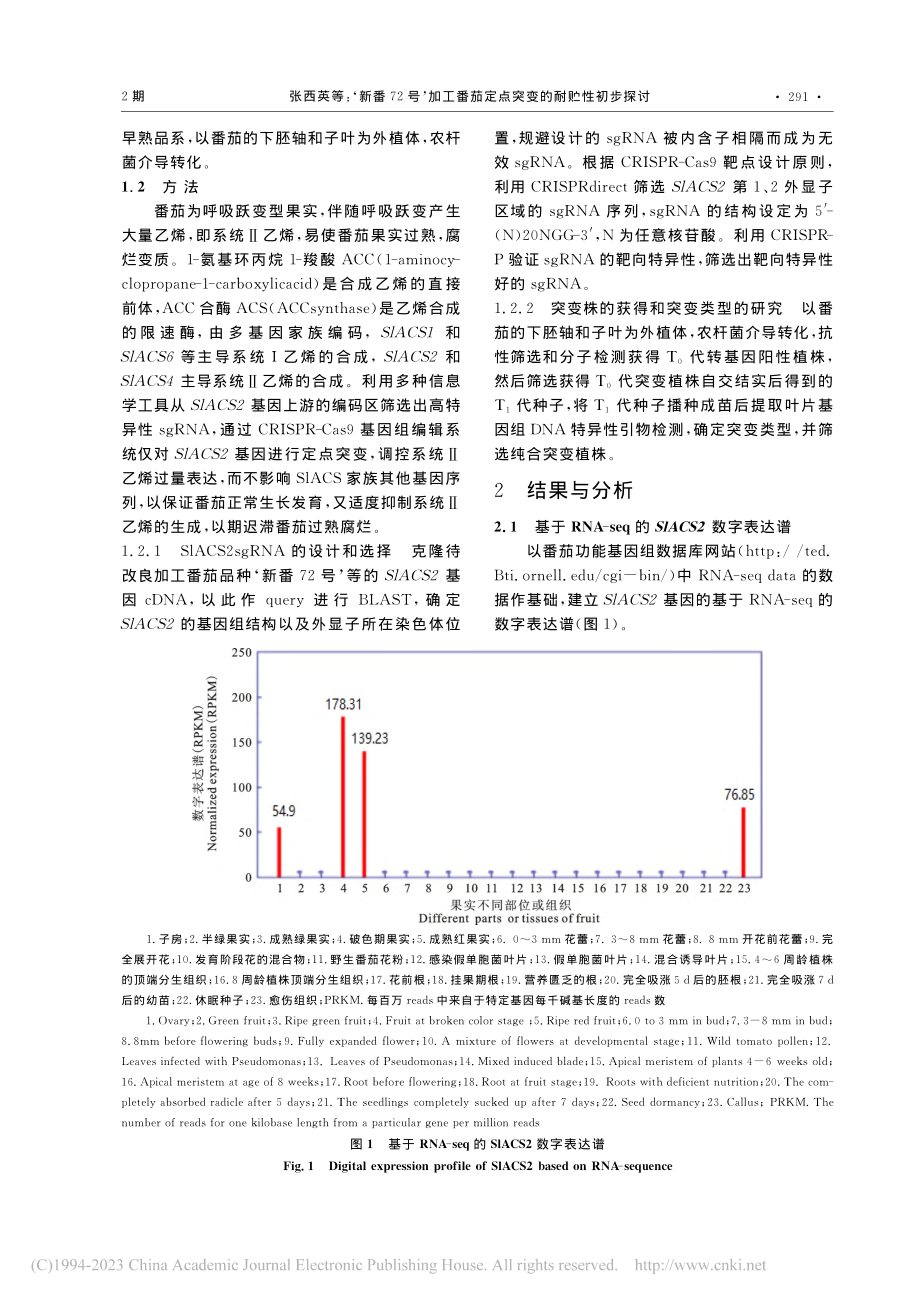 ‘新番72号’加工番茄定点突变的耐贮性初步探讨_张西英.pdf_第2页