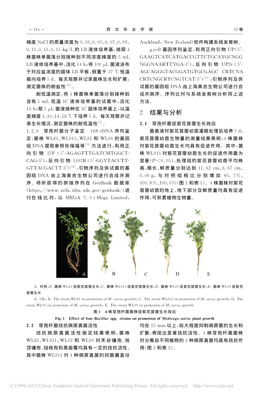 4株促紫花苜蓿生长的芽孢杆菌分子鉴定及其生物活性分析_陈兰.pdf_第3页