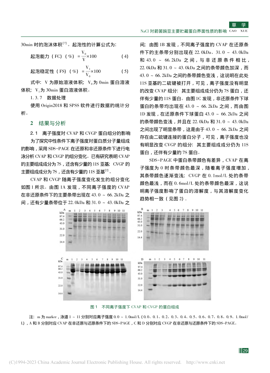 NaCl对箭筈豌豆主要贮藏蛋白界面性质的影响_王宇慧.pdf_第3页