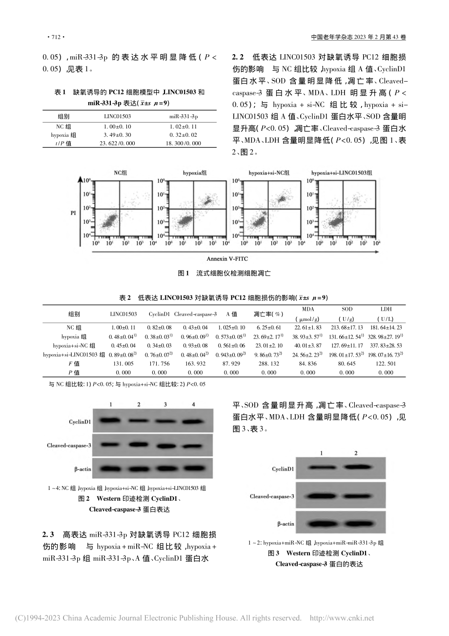 LncRNA_LINC01...诱导PC12细胞损伤的影响_符瑾.pdf_第3页