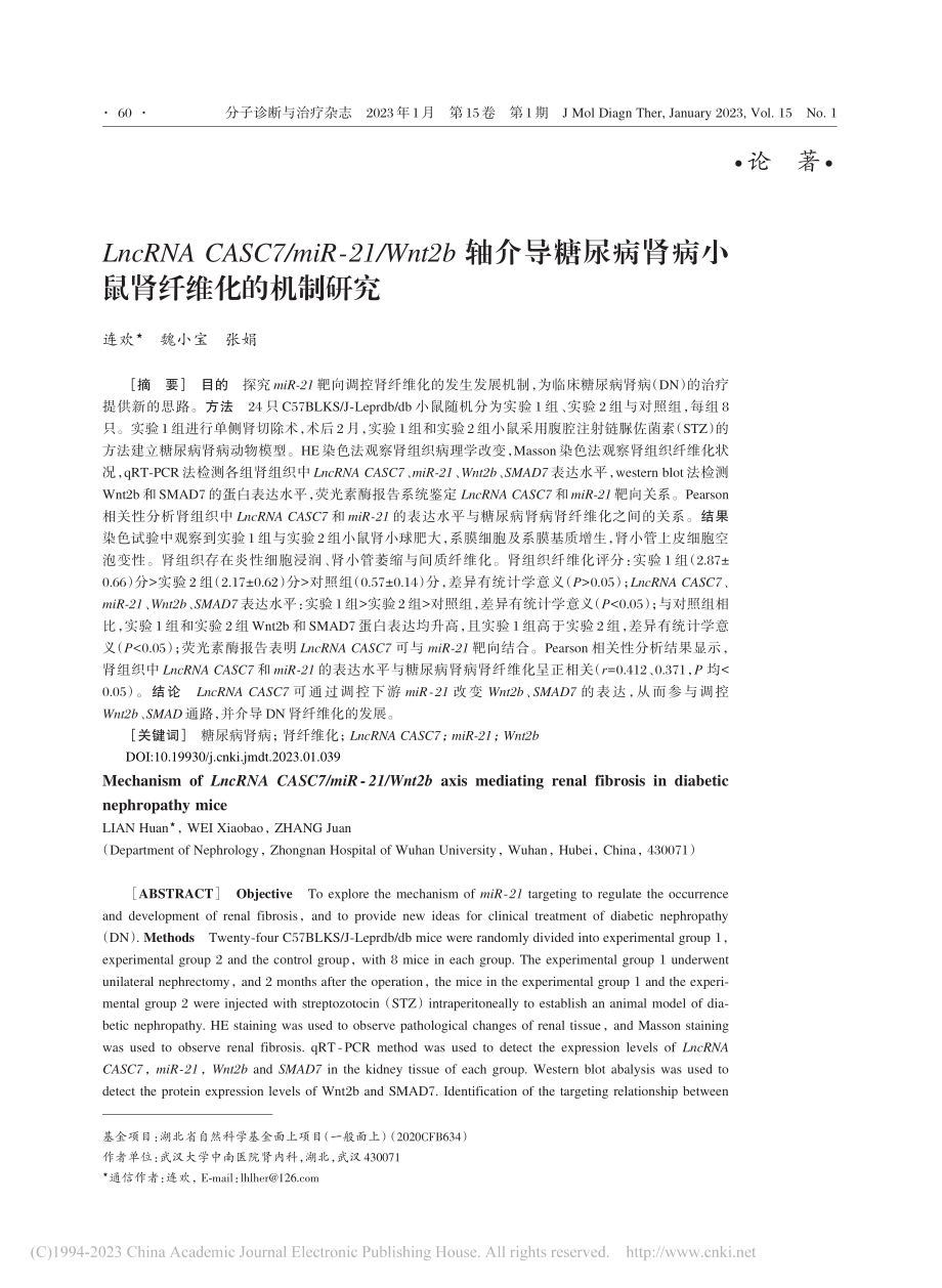 LncRNA_CASC7_...肾病小鼠肾纤维化的机制研究_连欢.pdf_第1页