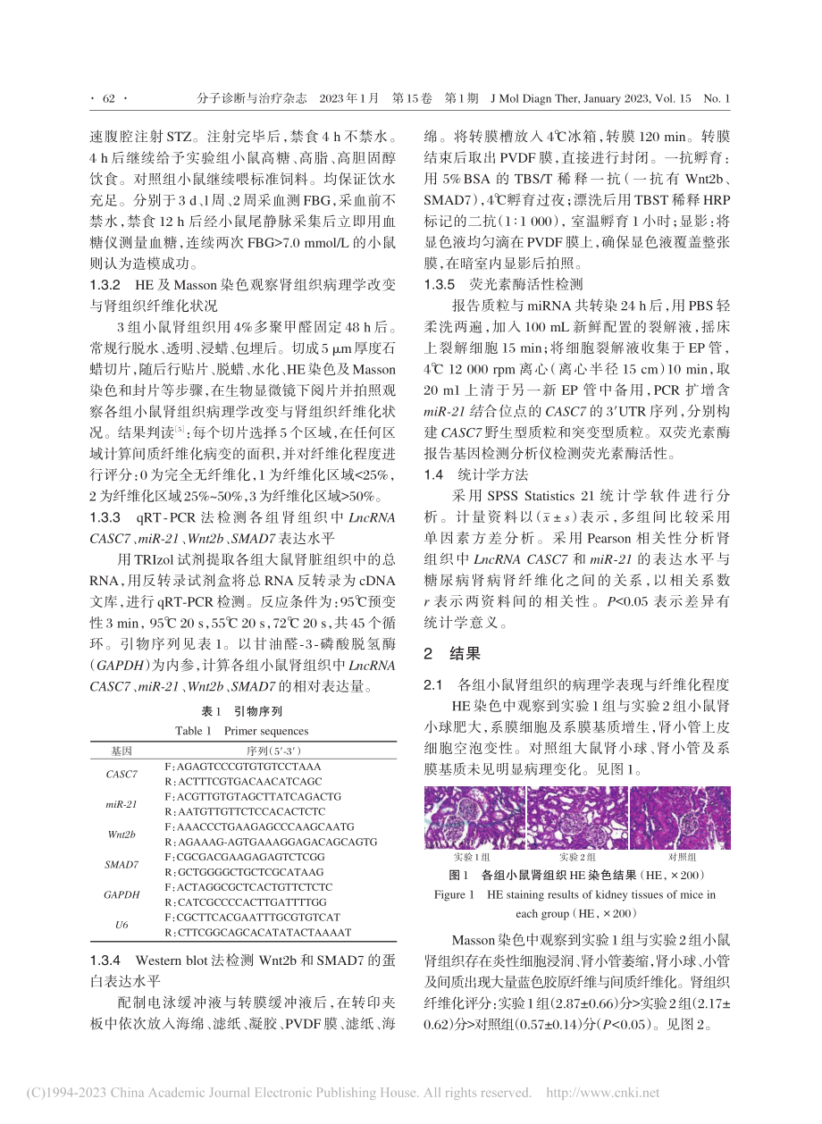 LncRNA_CASC7_...肾病小鼠肾纤维化的机制研究_连欢.pdf_第3页