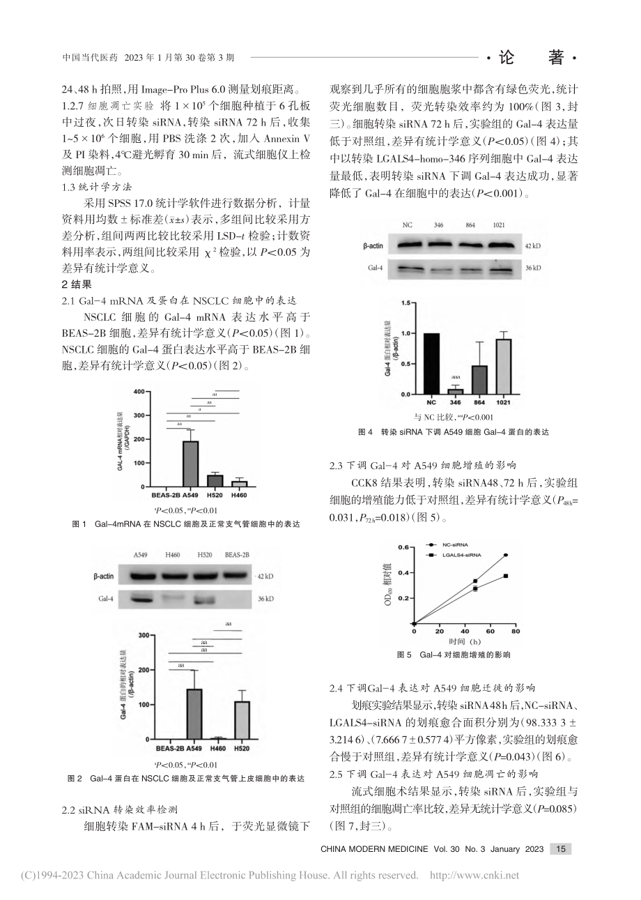 半乳糖凝集素4在非小细胞肺...其对增殖、迁徙及凋亡的影响_罗丹.pdf_第3页