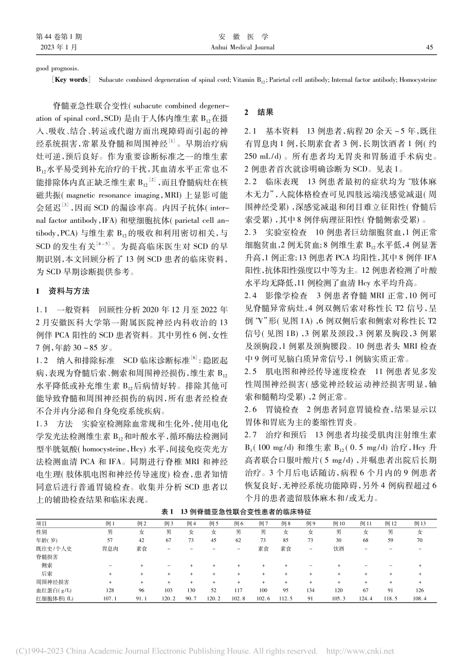 壁细胞抗体阳性的脊髓亚急性联合变性临床特征分析_史秀丽.pdf_第2页