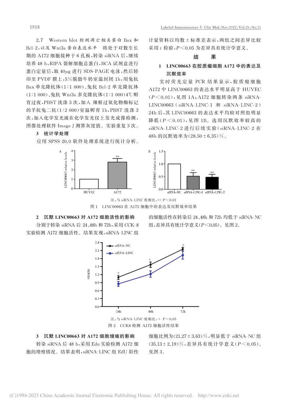 LncRNA_LINC00...胶质瘤细胞增殖及凋亡的影响_时景仁.pdf_第3页