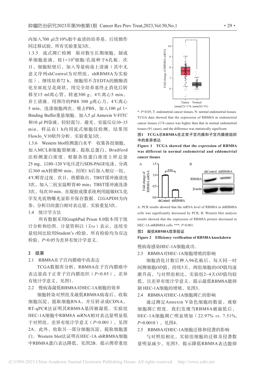 RBM8A基因对子宫内膜癌...、迁移和凋亡的作用及其机制_谭冬梅.pdf_第3页