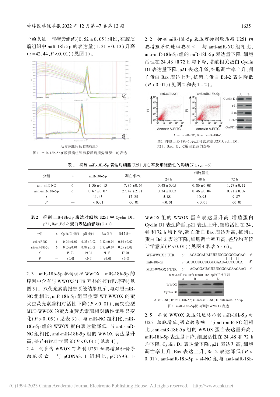 miR-18b-5p调控W...胶质瘤细胞增殖、凋亡的影响_苏保寿.pdf_第3页