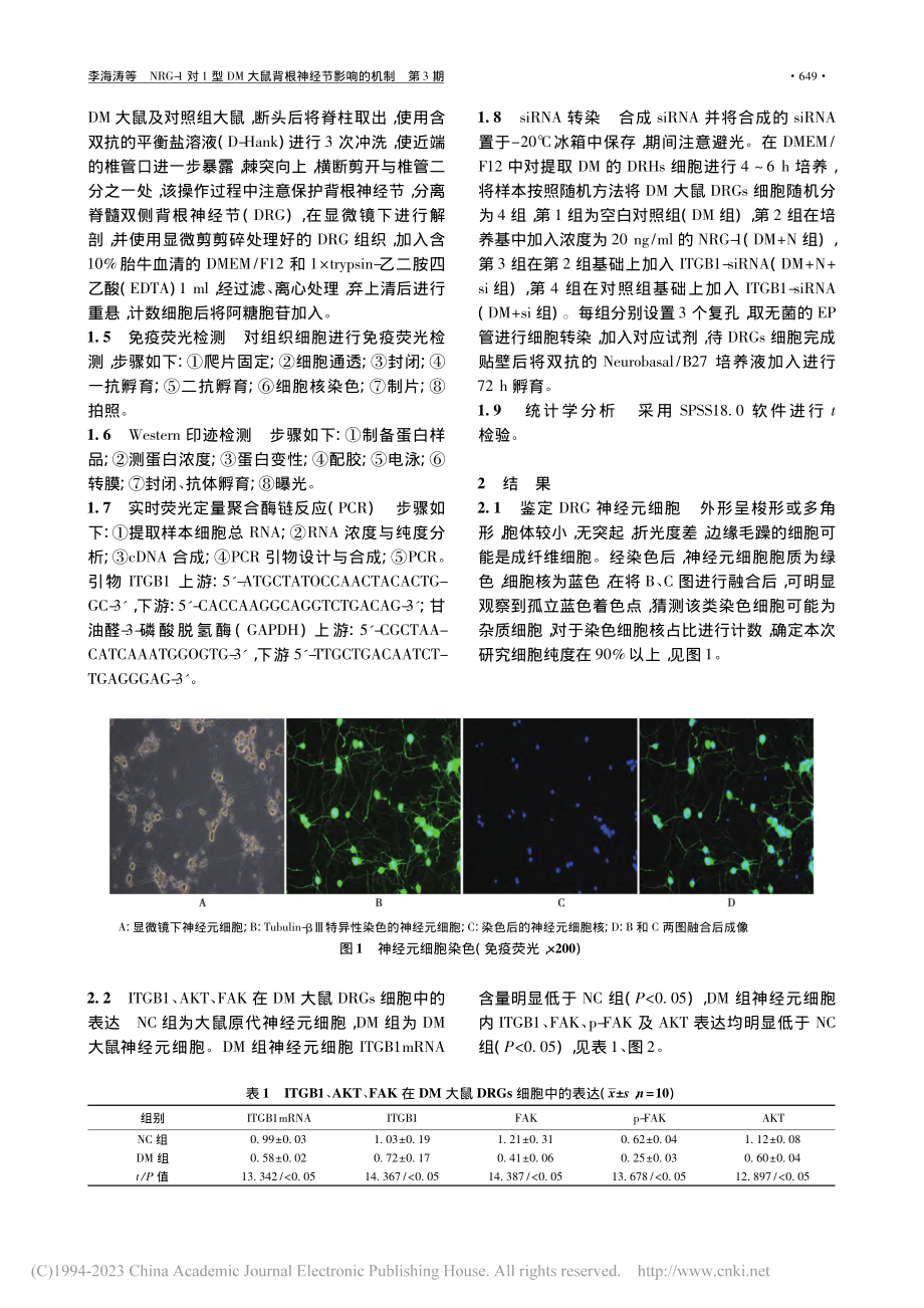 NRG-1对1型DM大鼠背根神经节影响的机制_李海涛.pdf_第2页