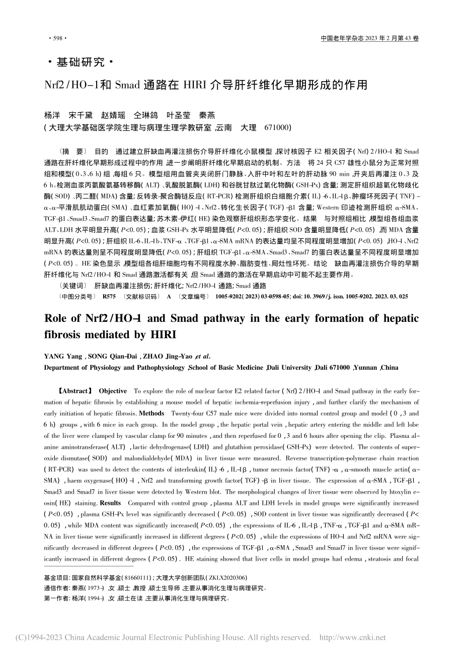 Nrf2_HO-1和Sma...介导肝纤维化早期形成的作用_杨洋.pdf_第1页