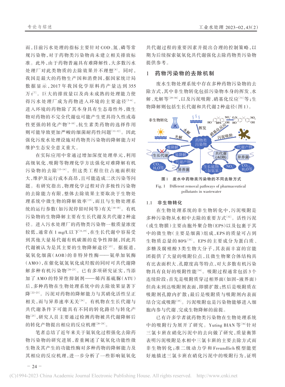 氨氧化共代谢强化去除药物类污染物研究进展_许怀浩.pdf_第2页