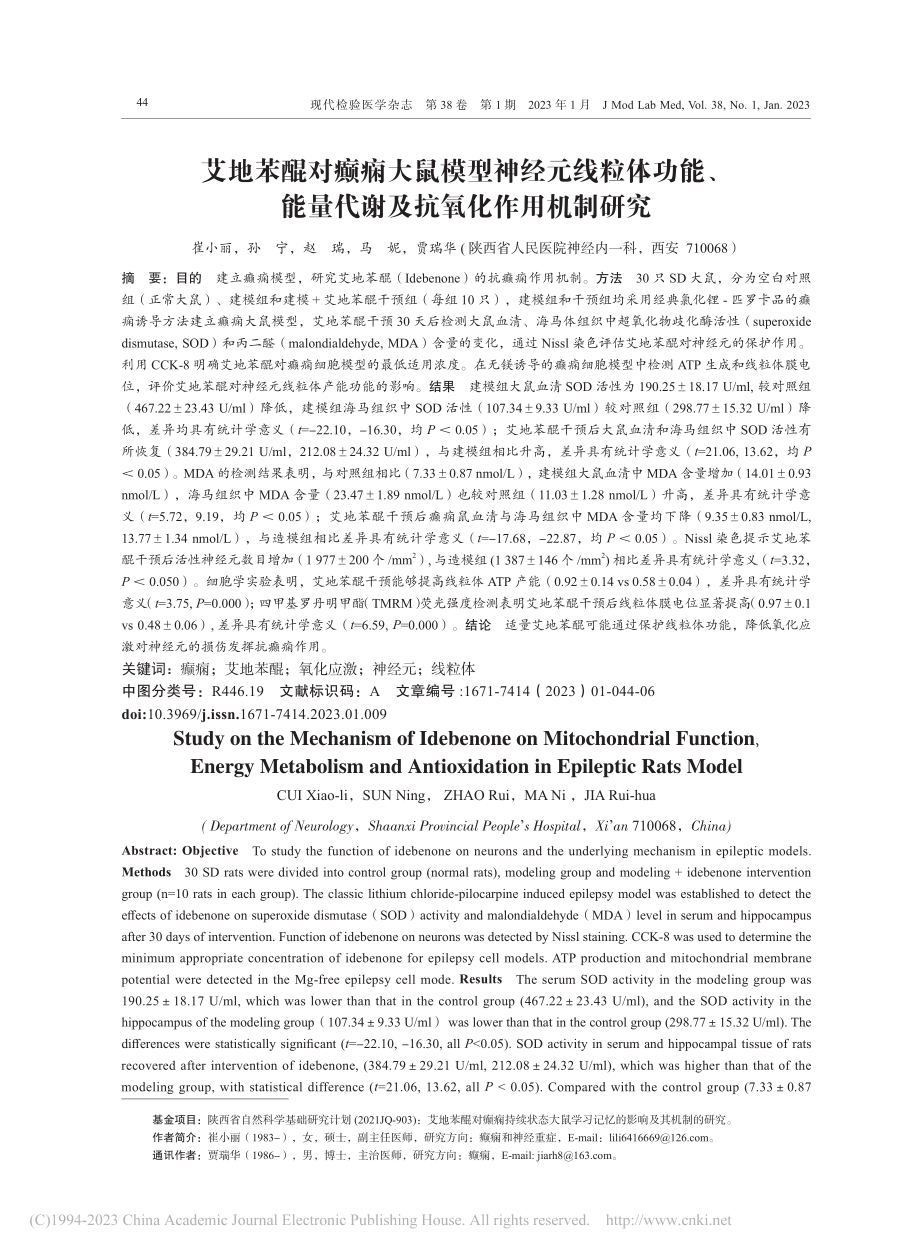 艾地苯醌对癫痫大鼠模型神经...量代谢及抗氧化作用机制研究_崔小丽.pdf_第1页