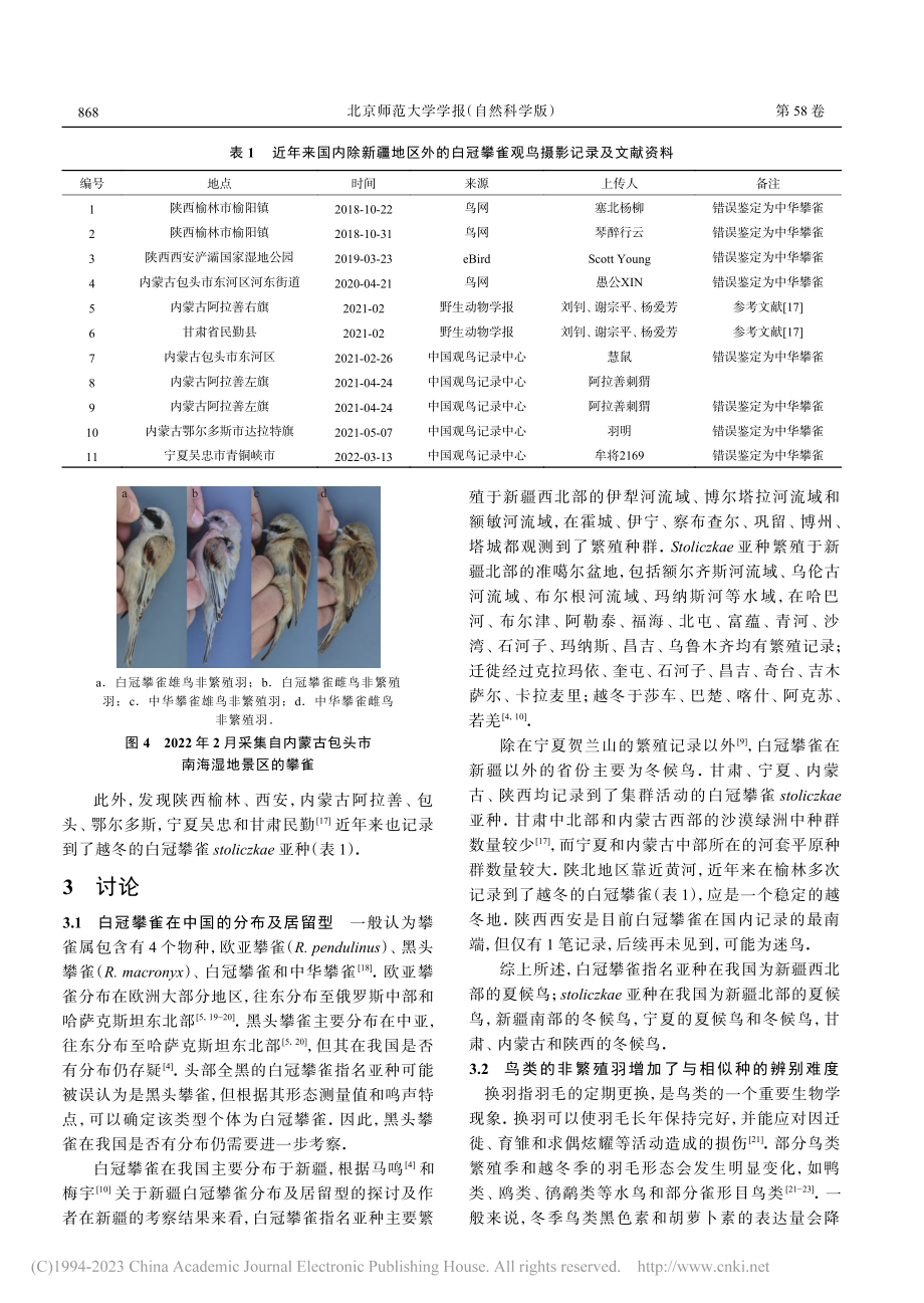 白冠攀雀的形态鉴定及其在中国的分布_汪卉.pdf_第3页