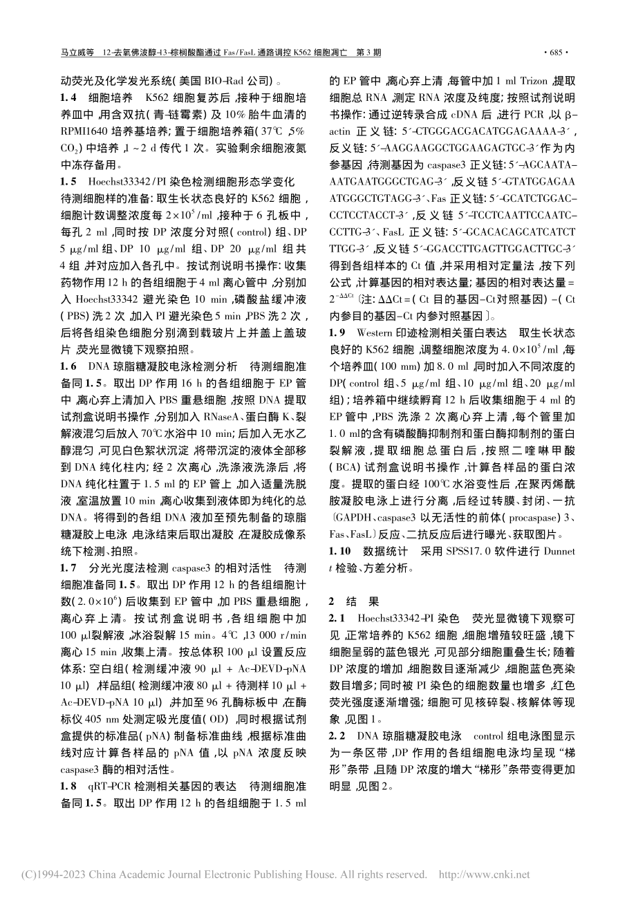 12-去氧佛波醇-13-棕...L通路调控K562细胞凋亡_马立威.pdf_第2页