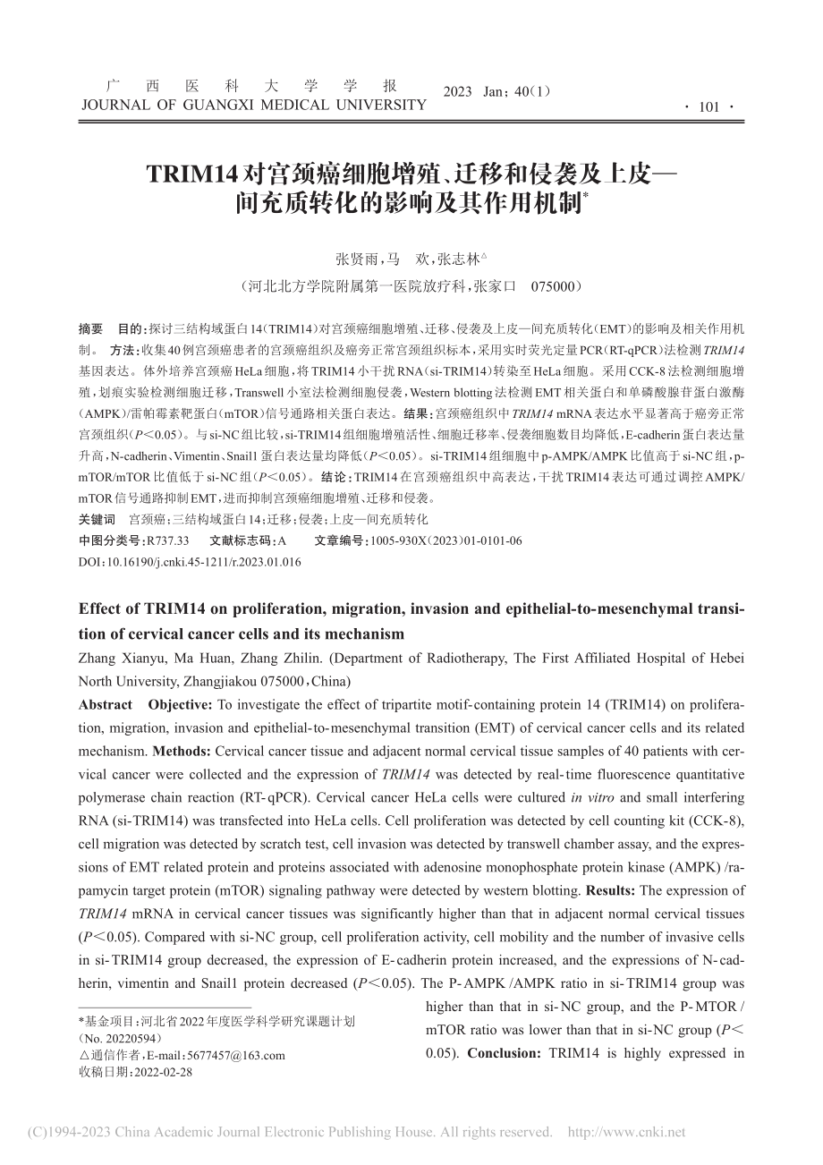 TRIM14对宫颈癌细胞增...充质转化的影响及其作用机制_张贤雨.pdf_第1页