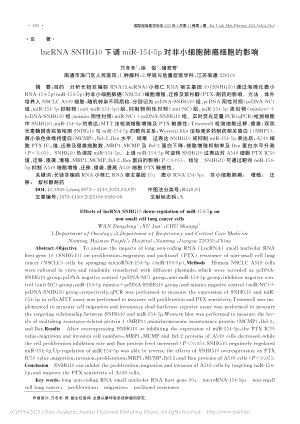 lncRNA_SNHG10...p对非小细胞肺癌细胞的影响_万冬冬.pdf