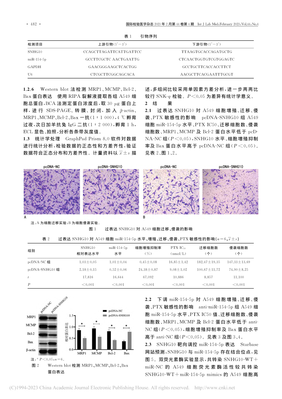 lncRNA_SNHG10...p对非小细胞肺癌细胞的影响_万冬冬.pdf_第3页