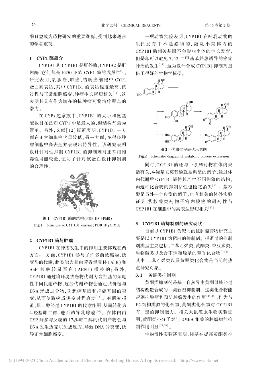 CYP1B1抑制剂研究进展_王志刚.pdf_第2页