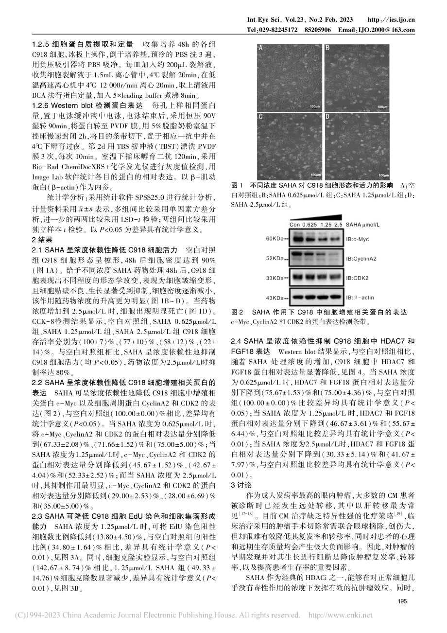 HDAC抑制剂对脉络膜黑色...8细胞增殖的影响及相关机制_张益萌.pdf_第3页