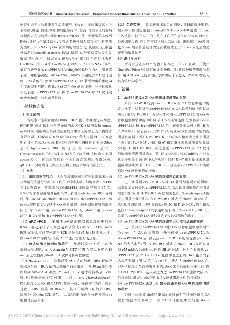 circPPP1R12A激...关节炎中软骨细胞增殖和凋亡_程建岗.pdf_第2页