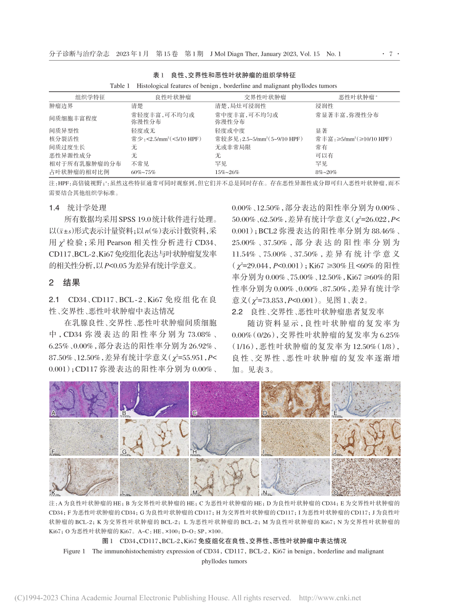 CD34、CD117、BC...肿瘤诊断及预后判断中的应用_吕威.pdf_第3页