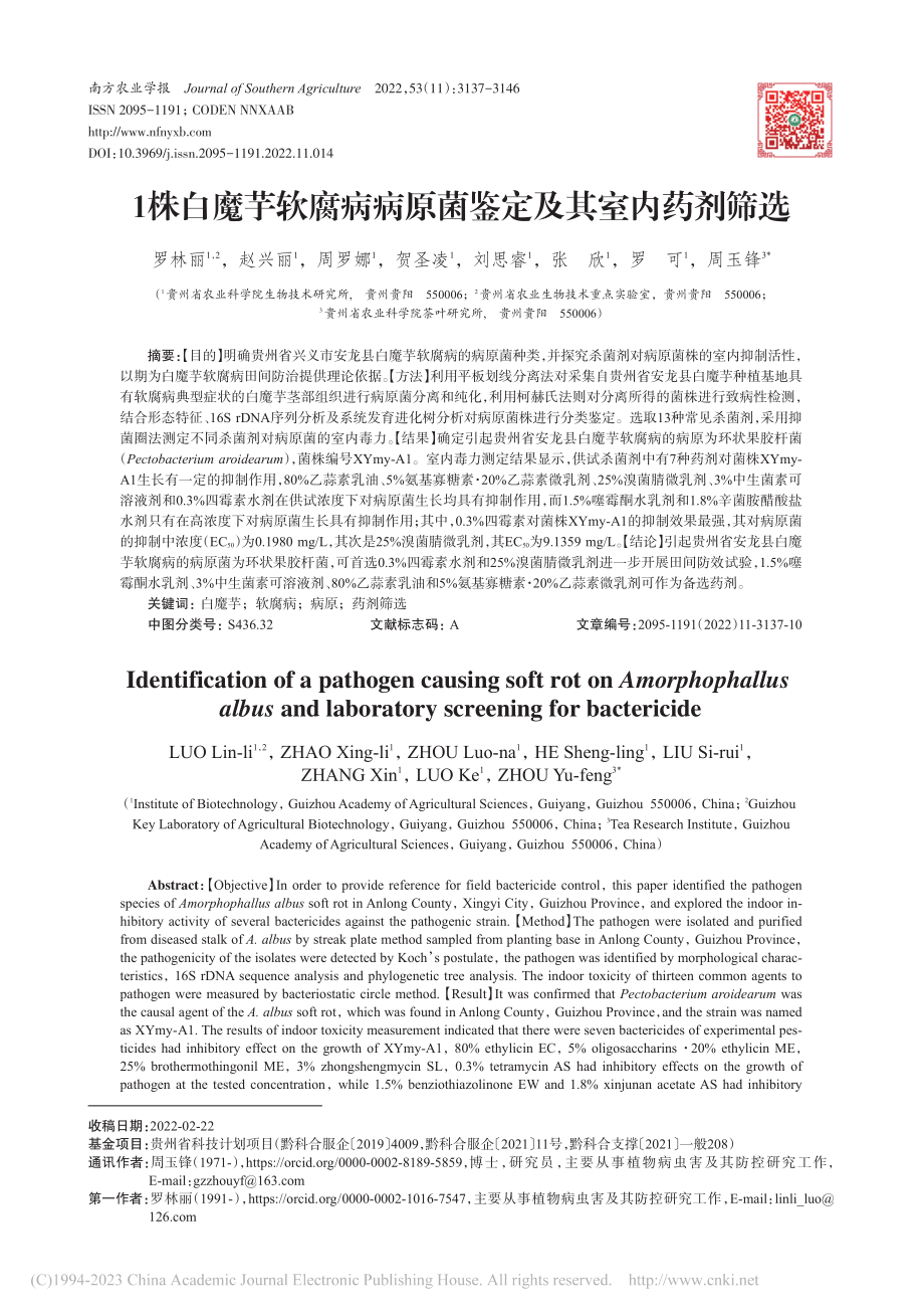 1株白魔芋软腐病病原菌鉴定及其室内药剂筛选_罗林丽.pdf_第1页