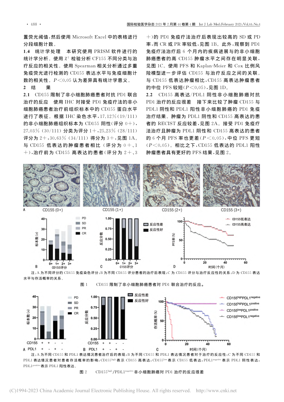 CD155表达水平对非小细...PD1免疫疗法反应性的影响_肖龙敏.pdf_第3页