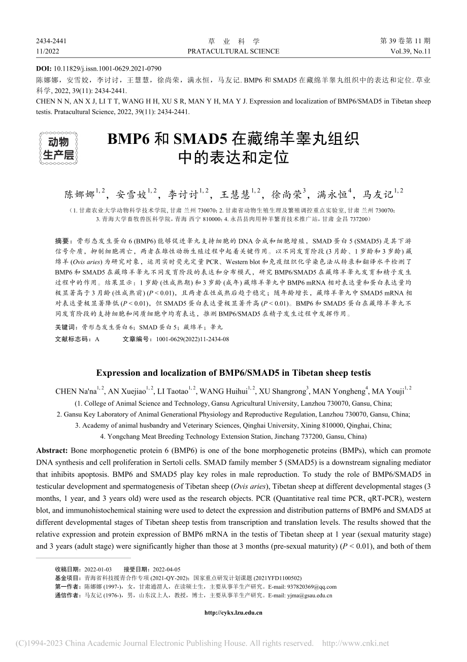 BMP6和SMAD5在藏绵羊睾丸组织中的表达和定位_陈娜娜.pdf_第1页